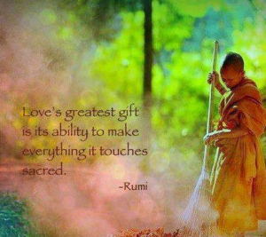 hap rumi