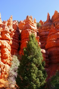 Copy of ireland first bryce shots 598