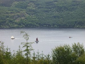 Flotilla with Viking boat trailing
