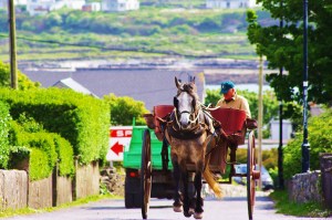 aran islands horse 2 fix
