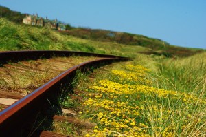 bushmill railroad fix resize