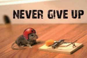 happiness humor change