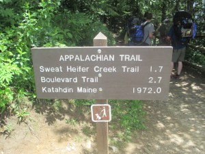 happiness, appalachian trail