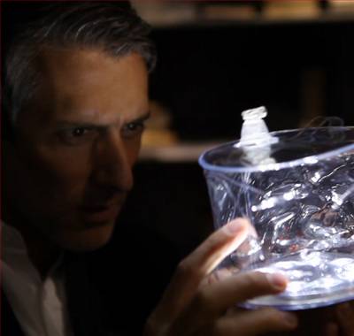 happiness, happy news