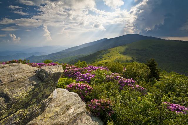 happiness, appalachian trail