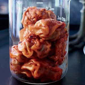 happiness, halloween