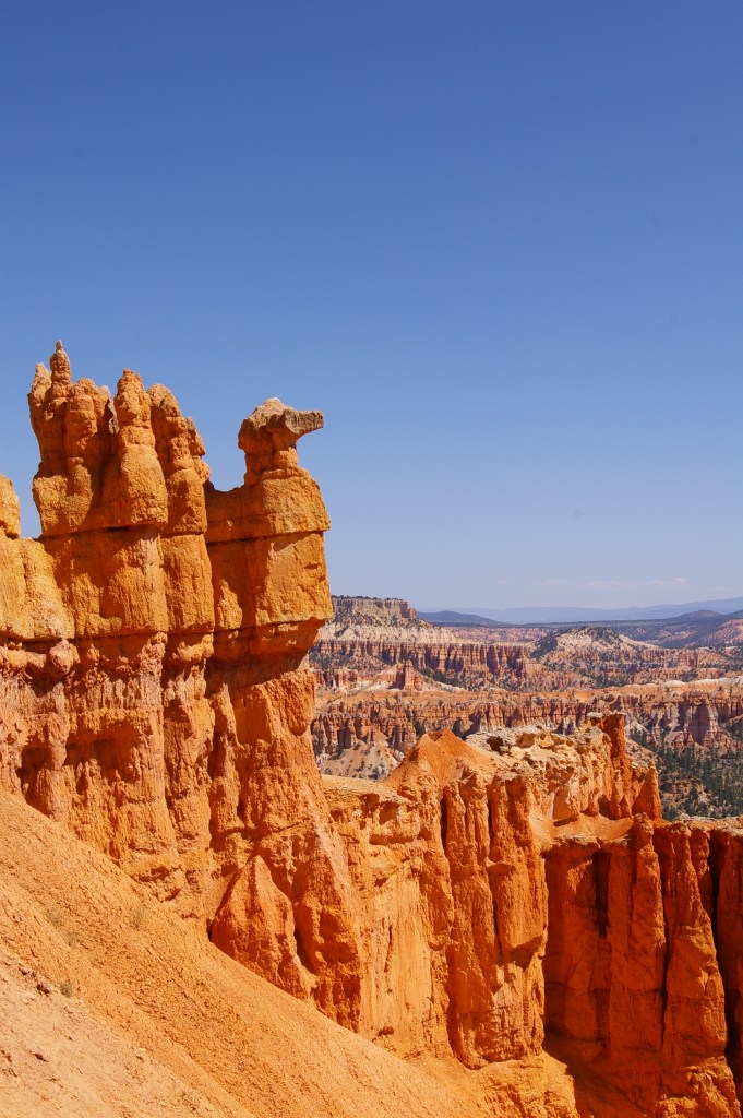 travel, happiness, bryce