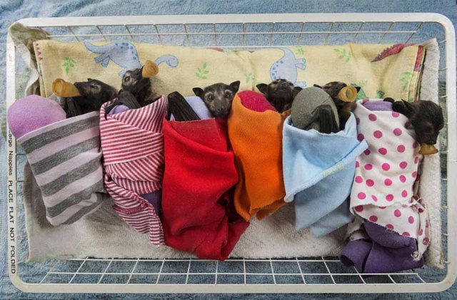 happiness, happy news