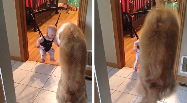 happiness, happy news