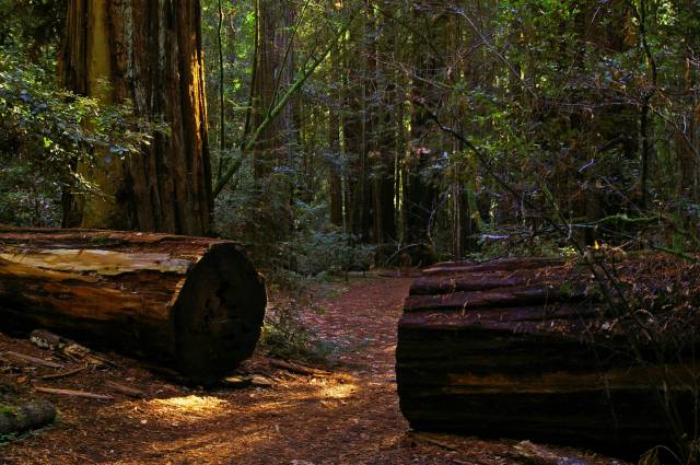 happiness, Appalachian Trail