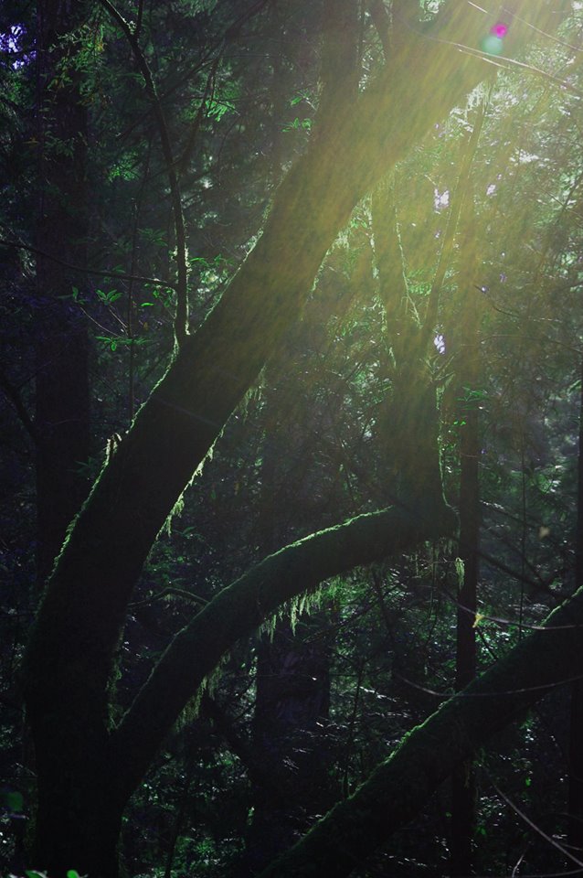 happiness, Appalachian Trails