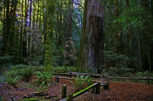 happiness, Appalachian Trail