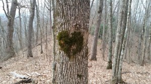 Photo by Shaggy Hobo