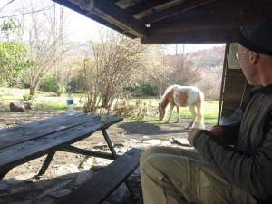 FB_IMG_1430789538333