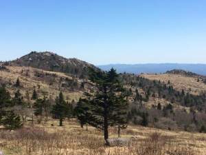 FB_IMG_1430789553125