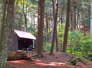 Brassie Brook Shelter