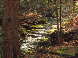 brassie brk strm fix