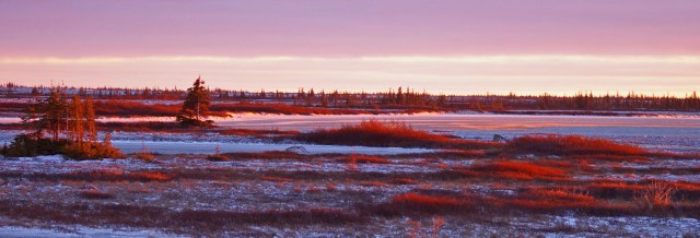 fix 7 snow scape z best