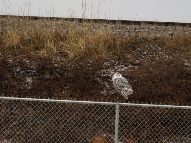 1it2KlkWSY5piBzs18Is3PLQg2bZwC8ByP2MhYlBUaA,YTTMoqj6sCxXQStGr6UgMv_VCJjj_cymOl5FAAAqe5c