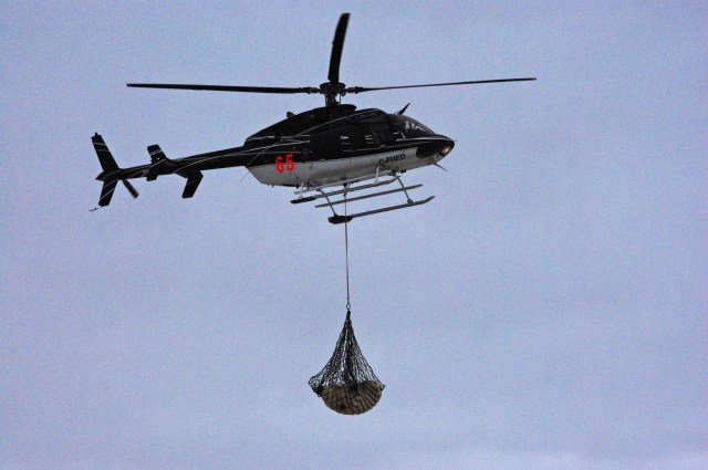 fix polar bear fly 6