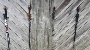 fix trekking poles