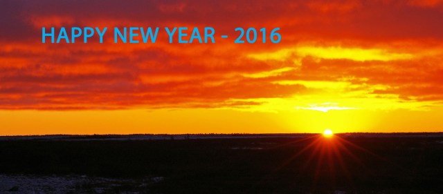 HAPPY NEW YEAR 2016
