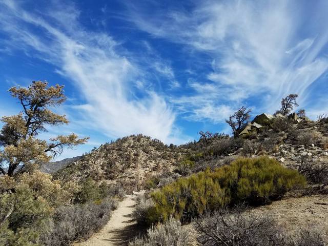 PCT, hiking, photography