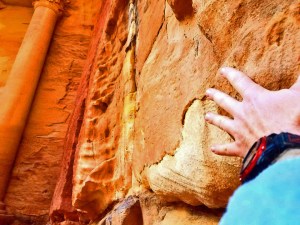 fix-hand-on-the-treasury