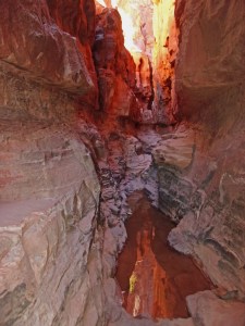 KODAK Digital Still Camera