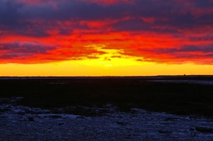 happiness, wellness,