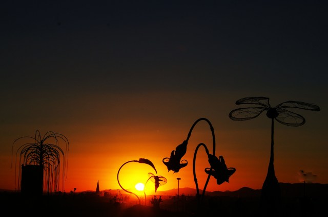 burning man happiness