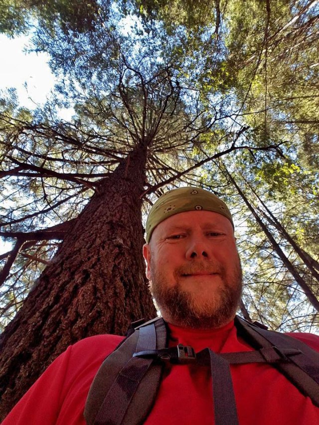 hike, hiking, armstrong woods