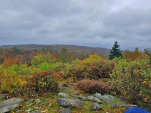 Warner Hill, Appalachian Trail, happiness
