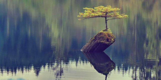 resilience, happiness, be happy