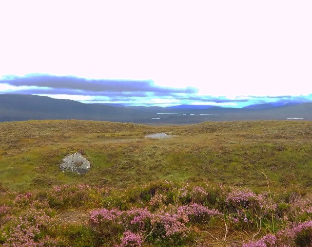 IMG_20180813_165255_477