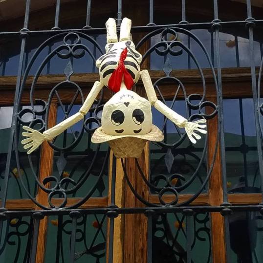 skeleton upside down