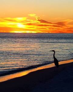 sunset, beach, photography