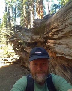 redwood tree hiking trail