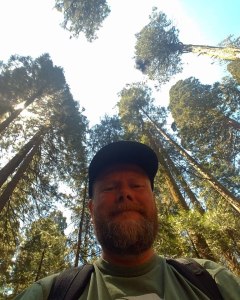 redwoods, travel, photography