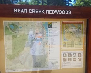 bear creek redwoods