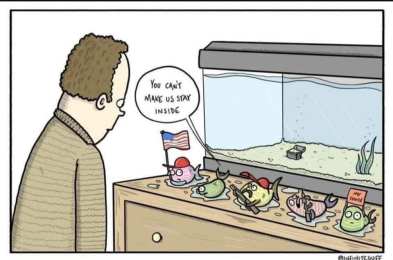 covid times, America