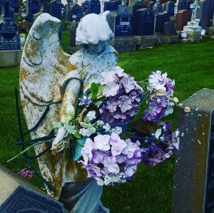 italian cemetery, colma