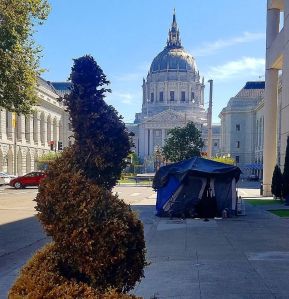 san francisco, happiness