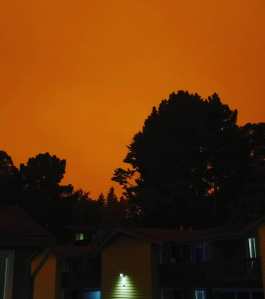 covid times, apocalypse