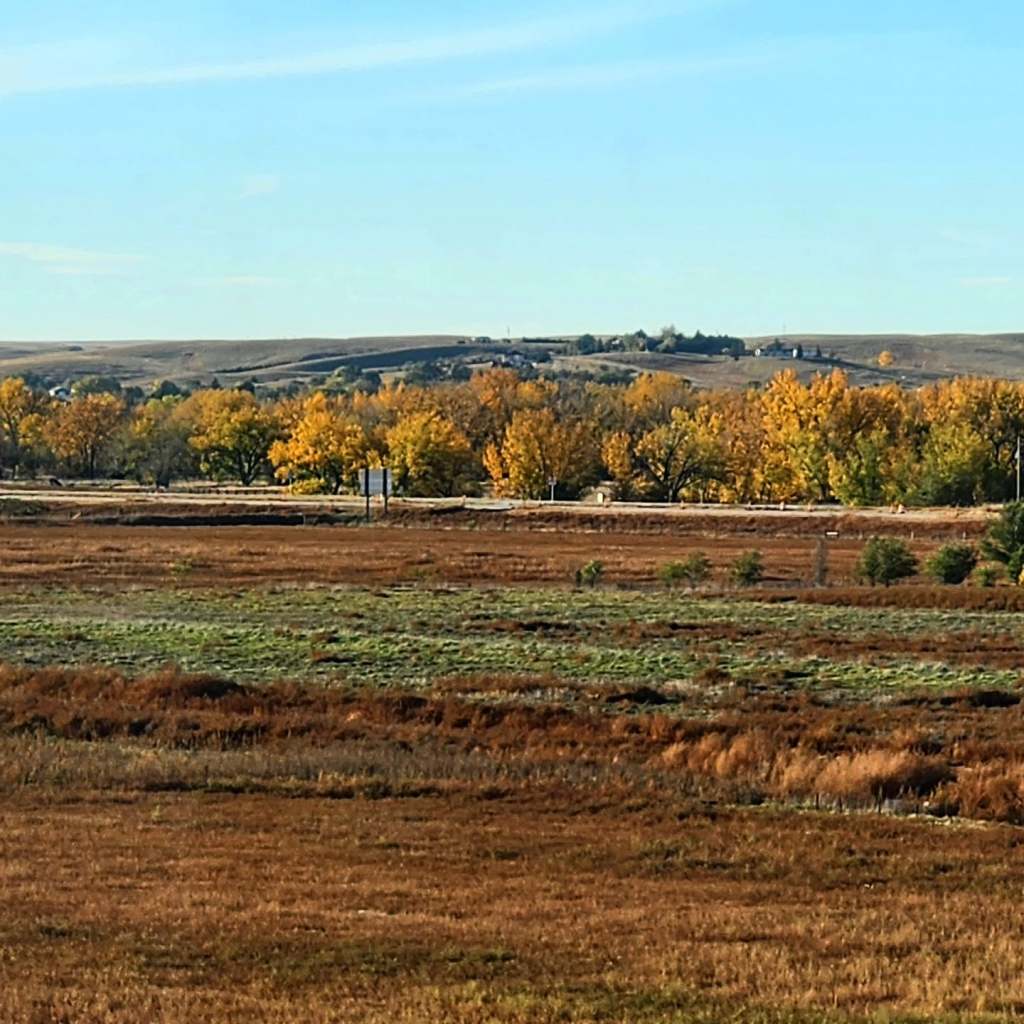 A scenic view of rolling hills and fields with a blue sky, showcasing autumn foliage in shades of yellow and orange among sparse trees.