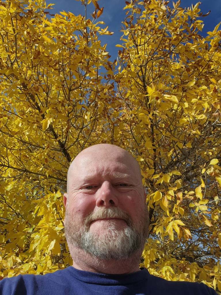 A smiling man with a beard takes a selfie in front of a bright yellow tree against a clear blue sky.